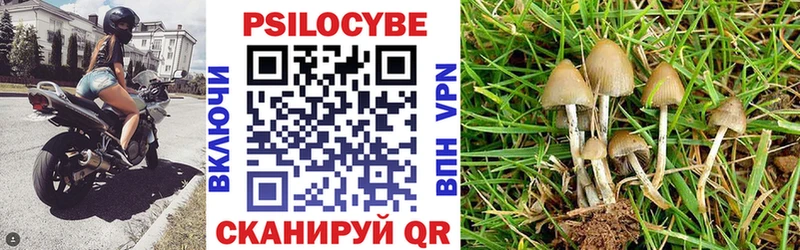 Псилоцибиновые грибы MAGIC MUSHROOMS  Скопин 
