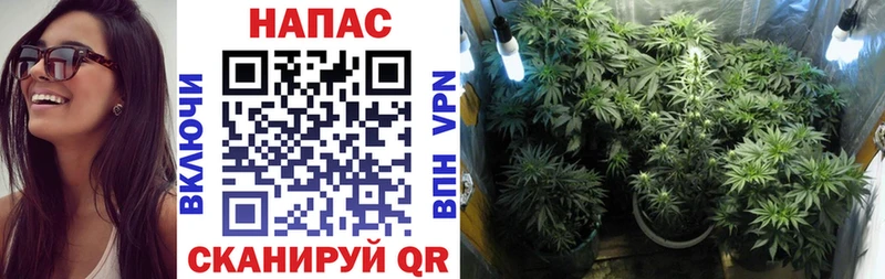 Шишки марихуана индика  Скопин 